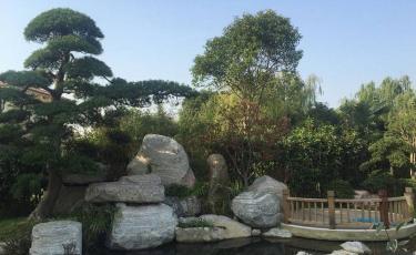 别墅私家小院